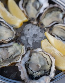 Valentine's Day Cinema Under the Stars - Oysters