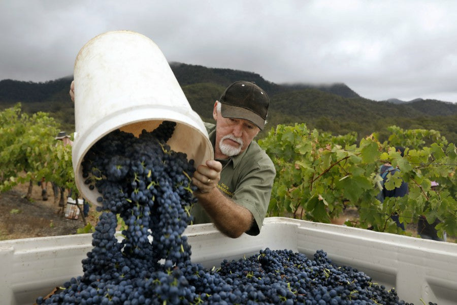 2016 Shiraz Released Saturday 5 May, 2018